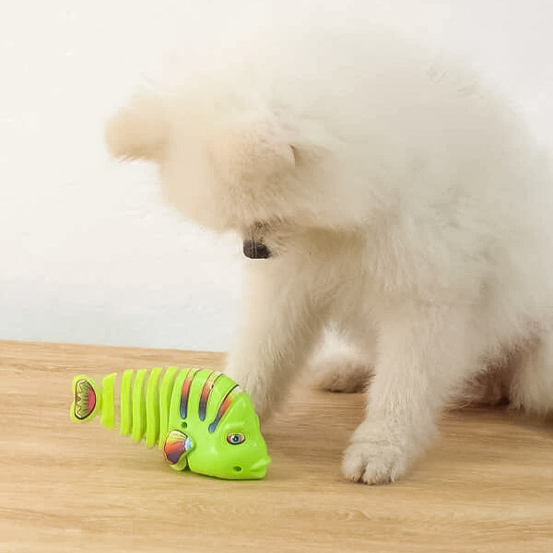 Speelgoed Vis - Speelgoed 1 jaar & speelgoed hond