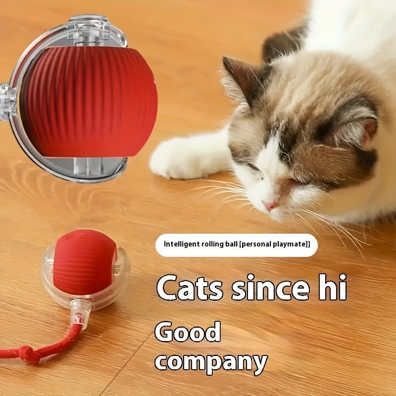 Interactieve USB Oplaadbare Katten Speelbal | Automatisch Rollend & Draaiend Met Lithium Batterij | Geschikt Voor Alle Kattenrassen