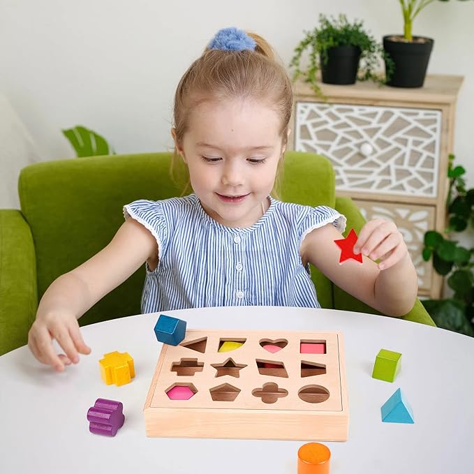 Houten Vorm Sorteer Kleur Speelgoed voor Peuter 1-3 jaar l Montessori Speelgoed