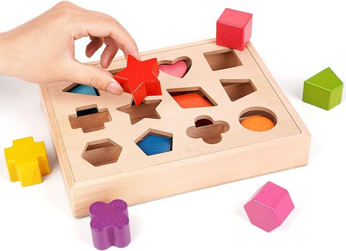 Houten Vorm Sorteer Kleur Speelgoed voor Peuter 1-3 jaar l Montessori Speelgoed